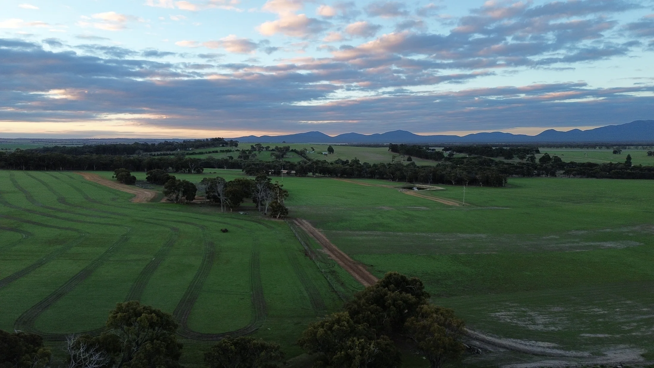 Evening light over farmland near the Stirling Ranges